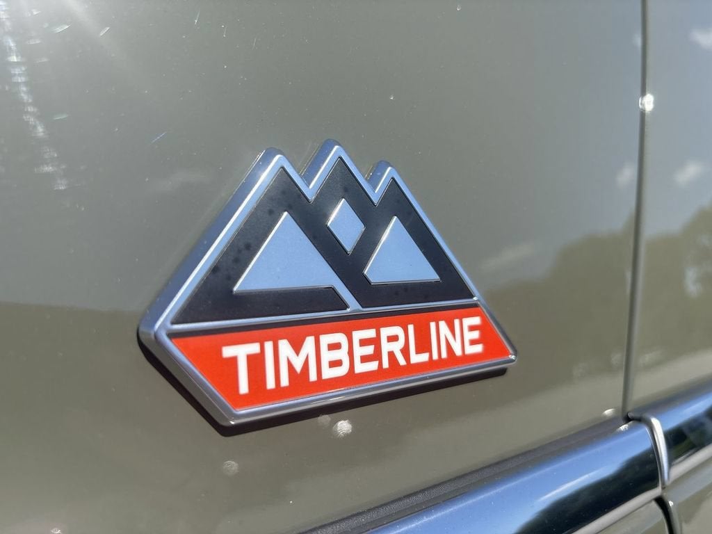 2024 Ford Expedition Timberline